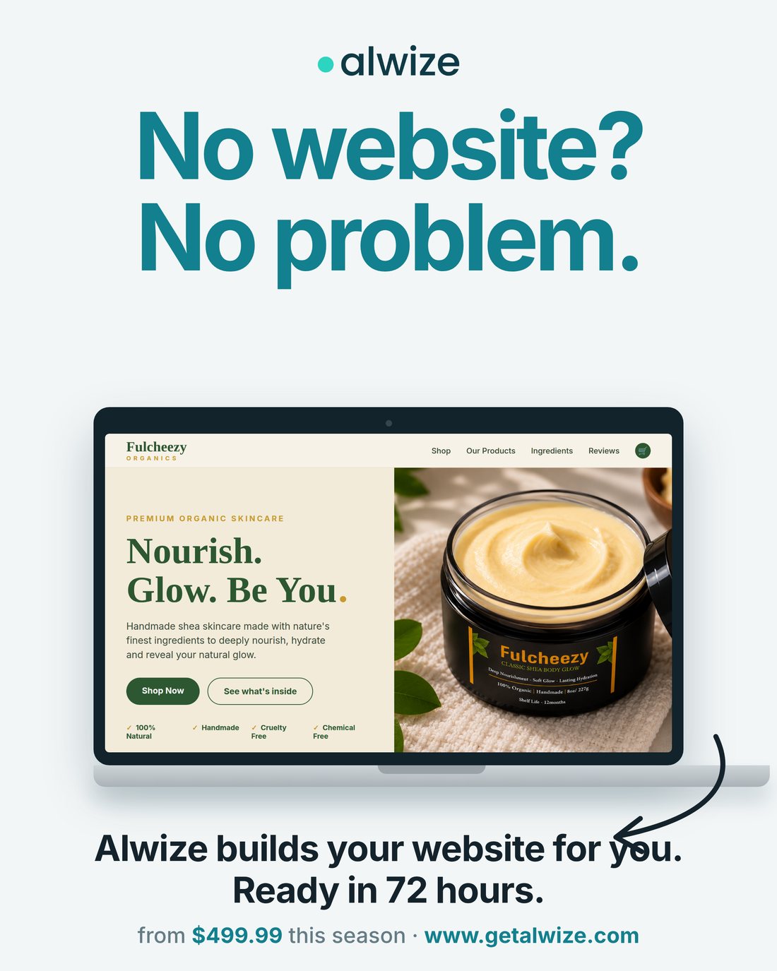 alwize website offer post
